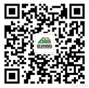 WeChat Public Account